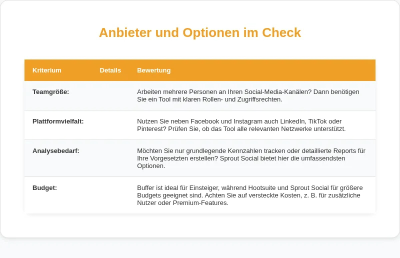 Infografik: Anbieter und Optionen im Check