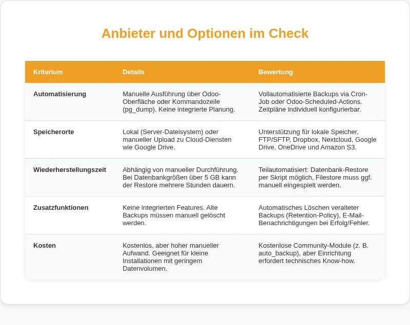 Infografik: Anbieter und Optionen im Check