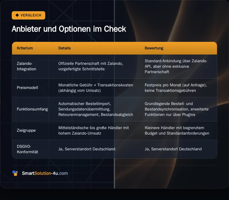 Infografik: Anbieter und Optionen im Check