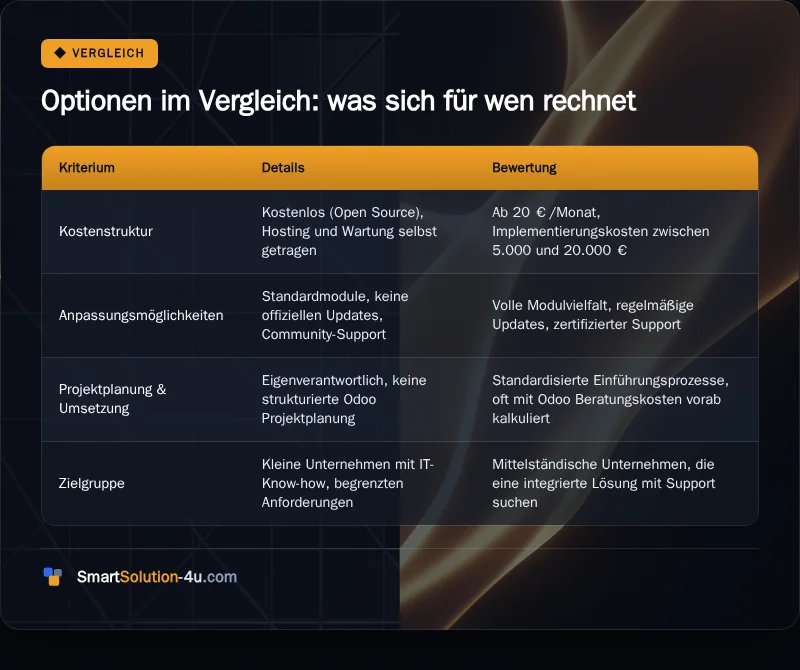 Infografik: Optionen im Vergleich: was sich für wen rechnet