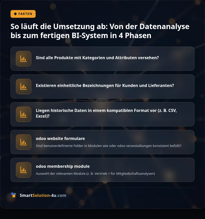 Infografik: So läuft die Umsetzung ab: Von der Datenanalyse bis zum fertigen BI-System in 4 Phasen