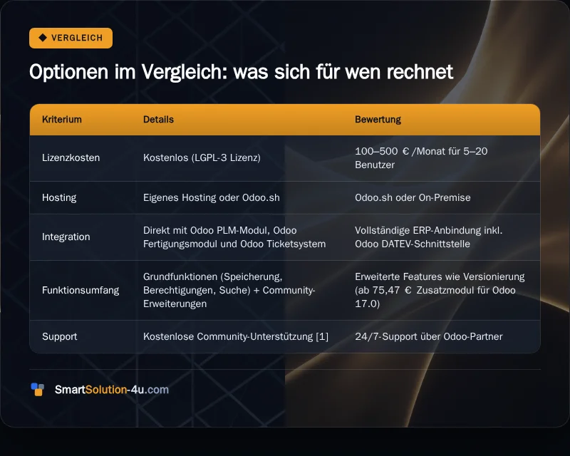 Infografik: Optionen im Vergleich: was sich für wen rechnet