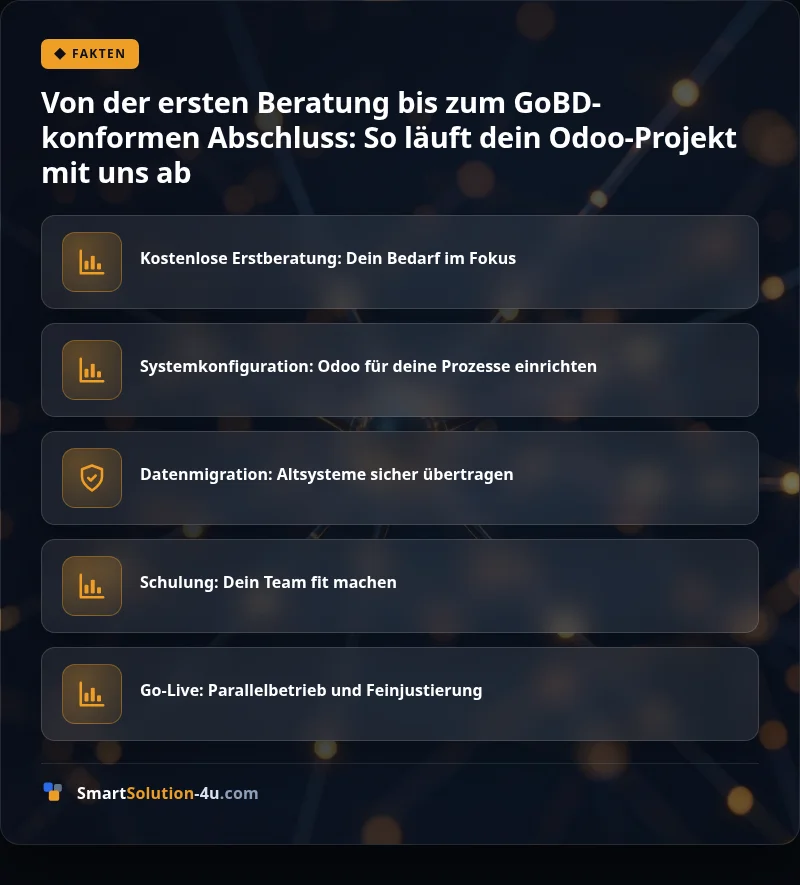 Infografik: Von der ersten Beratung bis zum GoBD-konformen Abschluss: So läuft dein Odoo-Projekt mit uns ab