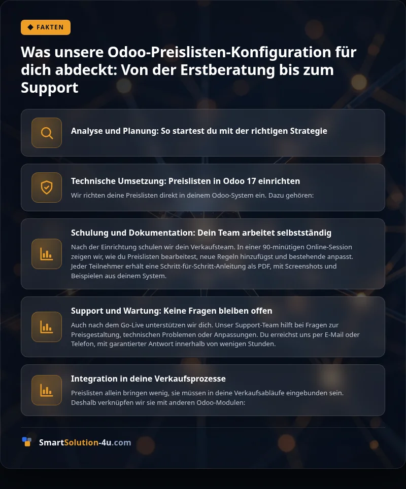 Infografik: Was unsere Odoo-Preislisten-Konfiguration für dich abdeckt: Von der Erstberatung bis zum Support