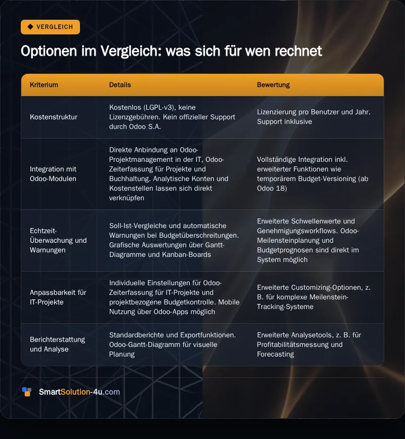 Infografik: Optionen im Vergleich: was sich für wen rechnet