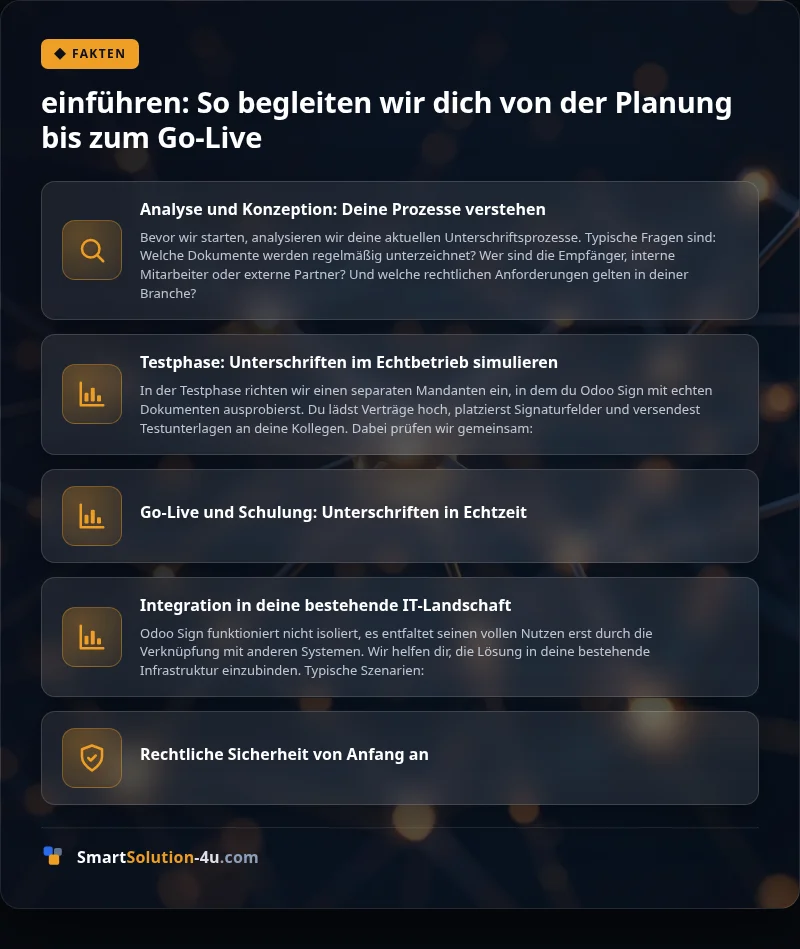 Infografik: einführen: So begleiten wir dich von der Planung bis zum Go-Live