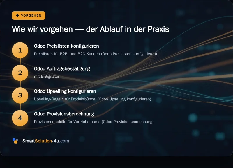 Infografik: Wie wir vorgehen, der Ablauf in der Praxis
