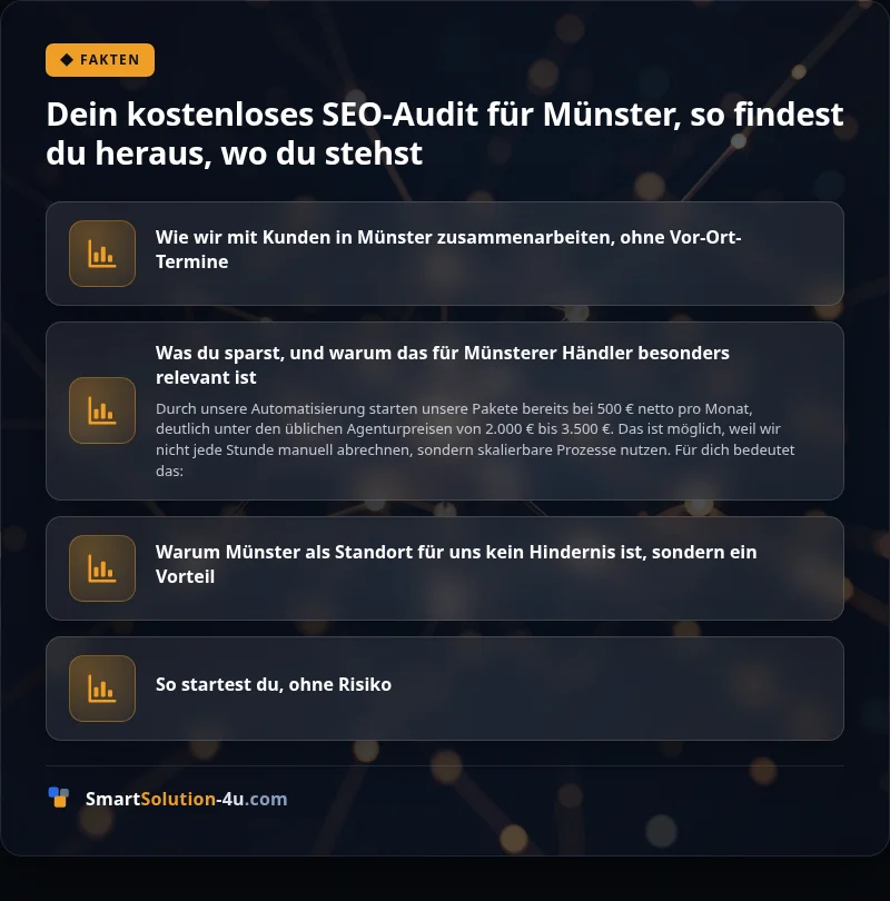 Infografik: Dein kostenloses SEO-Audit für Münster, so findest du heraus, wo du stehst