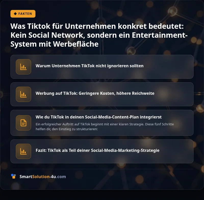 Infografik: Was Tiktok für Unternehmen konkret bedeutet: Kein Social Network, sondern ein Entertainment-System mit Werbefläche